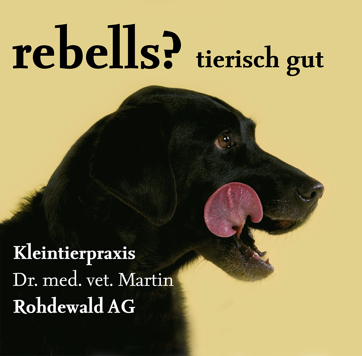 Kleintierpraxis Rohdewald